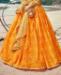 Picture of Fine Musterd Lehenga Choli