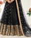 Picture of Pleasing Black Lehenga Choli