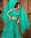 Picture of Taking Aquamarine Lehenga Choli