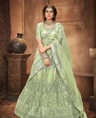 Picture of Nice Olive Lehenga Choli