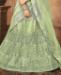 Picture of Nice Olive Lehenga Choli