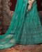 Picture of Good Looking Persion Green Lehenga Choli