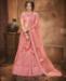 Picture of Appealing Blush Lehenga Choli