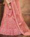 Picture of Appealing Blush Lehenga Choli