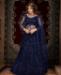 Picture of Shapely Blue Lehenga Choli