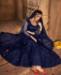 Picture of Shapely Blue Lehenga Choli