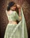 Picture of Resplendent Olive Lehenga Choli