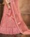 Picture of Statuesque Blush Lehenga Choli