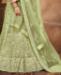 Picture of Charming Pista Lehenga Choli