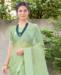 Picture of Shapely Dusty Pista Casual Saree