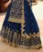 Picture of Appealing Blue Straight Cut Salwar Kameez