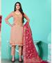 Picture of Ravishing Fawn Straight Cut Salwar Kameez