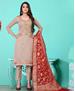 Picture of Bewitching Grey Straight Cut Salwar Kameez