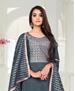 Picture of Excellent Grey Straight Cut Salwar Kameez