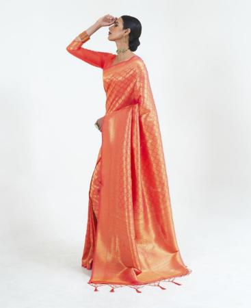 Picture of Sightly Orange Casual Saree