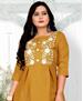 Picture of Shapely Brown Kurtis & Tunic