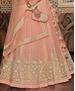 Picture of Excellent Peach Lehenga Choli