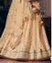 Picture of Taking Cream Lehenga Choli