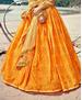 Picture of Fine Musterd Lehenga Choli