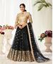 Picture of Pleasing Black Lehenga Choli