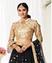 Picture of Pleasing Black Lehenga Choli