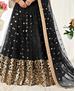 Picture of Pleasing Black Lehenga Choli