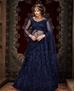 Picture of Shapely Blue Lehenga Choli