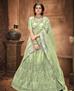 Picture of Resplendent Olive Lehenga Choli