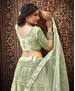 Picture of Resplendent Olive Lehenga Choli