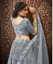 Picture of Pleasing Grey Lehenga Choli