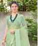 Picture of Shapely Dusty Pista Casual Saree