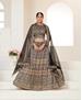 Picture of Charming Grey Lehenga Choli