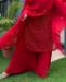 Picture of Beauteous Red Straight Cut Salwar Kameez