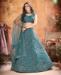 Picture of Magnificent Dark Rama Lehenga Choli