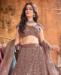 Picture of Fascinating Dark Brown Lehenga Choli