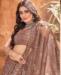 Picture of Fascinating Dark Brown Lehenga Choli