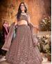 Picture of Bewitching Dark Brown Lehenga Choli