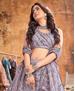 Picture of Well Formed Grey Lehenga Choli