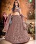 Picture of Fascinating Dark Brown Lehenga Choli