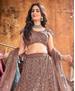 Picture of Fascinating Dark Brown Lehenga Choli