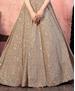 Picture of Ideal Beige Party Wear Gown