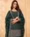 Picture of Taking Bottel Green Straight Cut Salwar Kameez