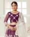 Picture of Excellent Wine Lehenga Choli