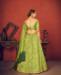 Picture of Amazing Floracance Green Lehenga Choli