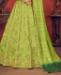 Picture of Amazing Floracance Green Lehenga Choli