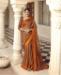 Picture of Lovely Brown Brasso Saree