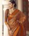 Picture of Lovely Brown Brasso Saree