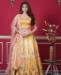 Picture of Lovely Mustard Readymade Lehenga Choli