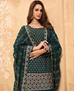 Picture of Taking Bottel Green Straight Cut Salwar Kameez