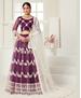 Picture of Excellent Wine Lehenga Choli